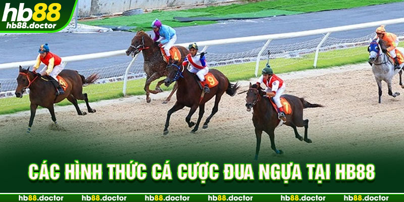 Các hình thức cá cược đua ngựa tại HB88