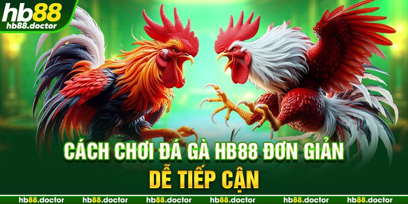 Cách chơi đá gà HB88 đơn giản, dễ tiếp cận