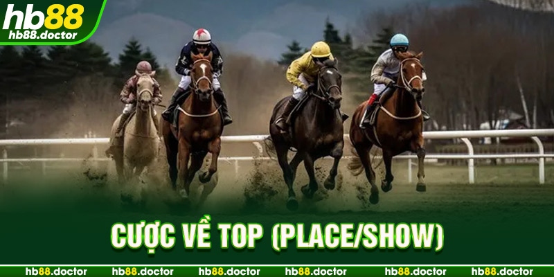 Cược về top (Place/Show)