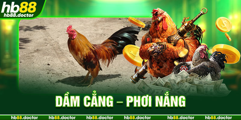 Dầm cẳng – phơi nắng