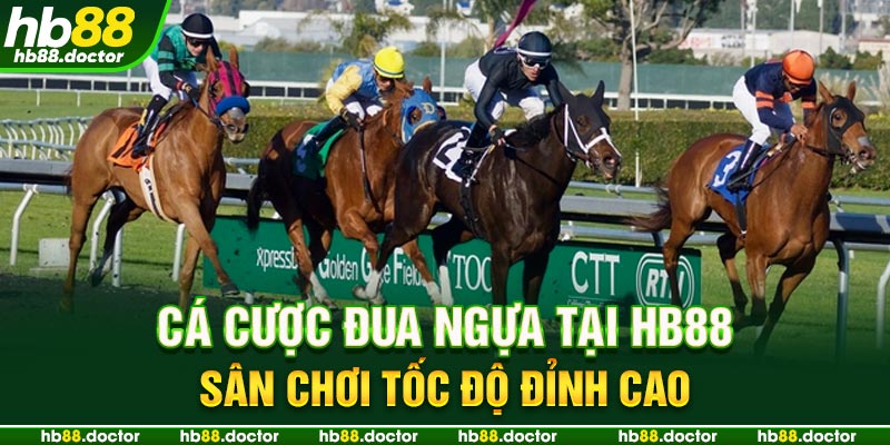 Tổng quan về cá cược đua ngựa