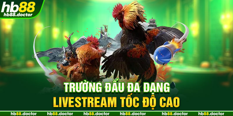 Trường đấu đa dạng, livestream tốc độ cao